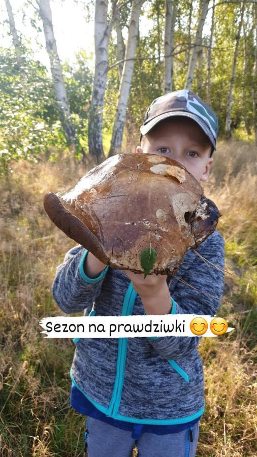 Aris Pokoje Goscinne Wojnicz Kültér fotó